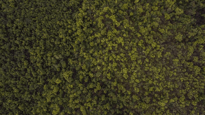 Doctor - professional stock photography