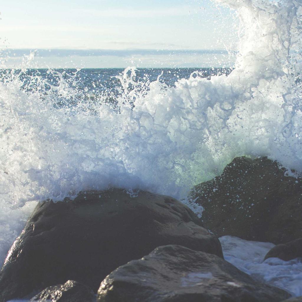 Fruits - professional stock photography