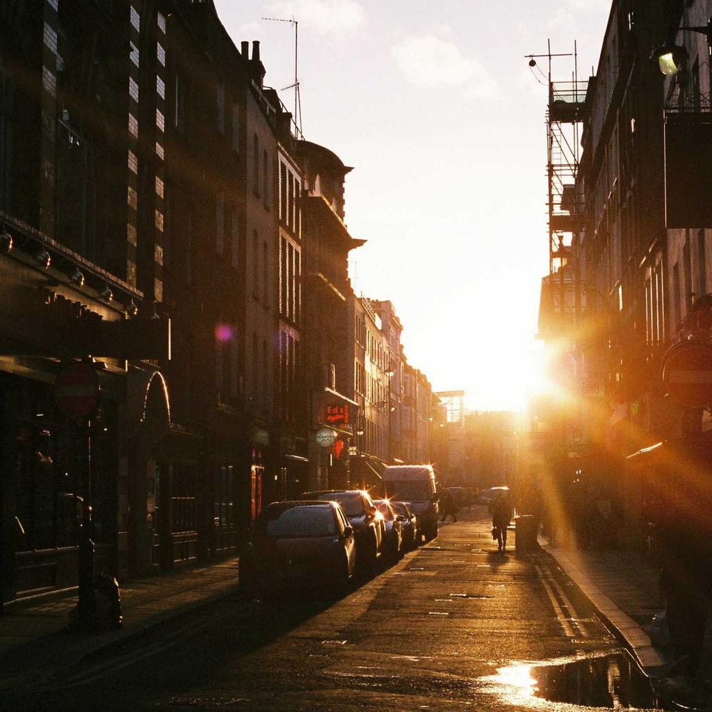 Fruits - professional stock photography