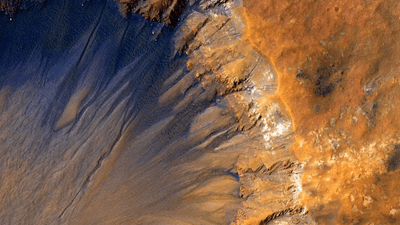 Gym - professional stock photography