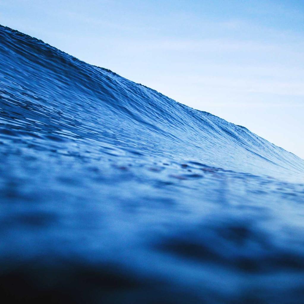 Gym - professional stock photography