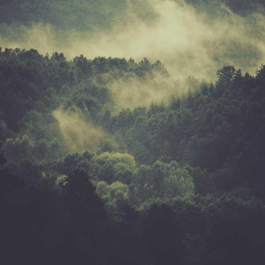 Healthy Food - professional stock photography