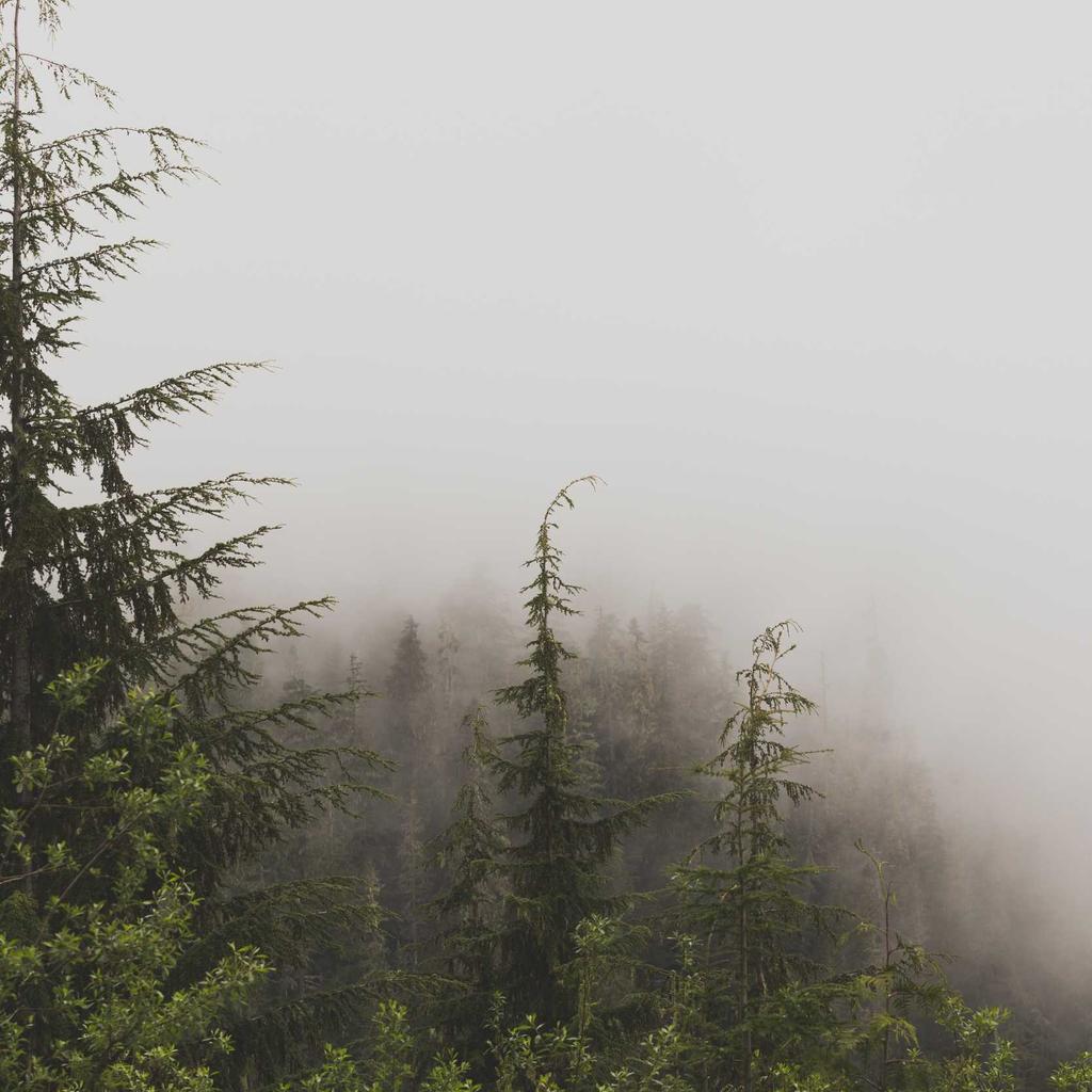 Mindfulness - professional stock photography