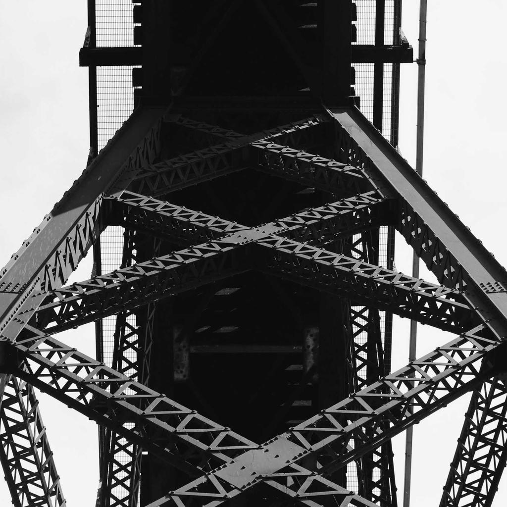 Nature Walk - professional stock photography