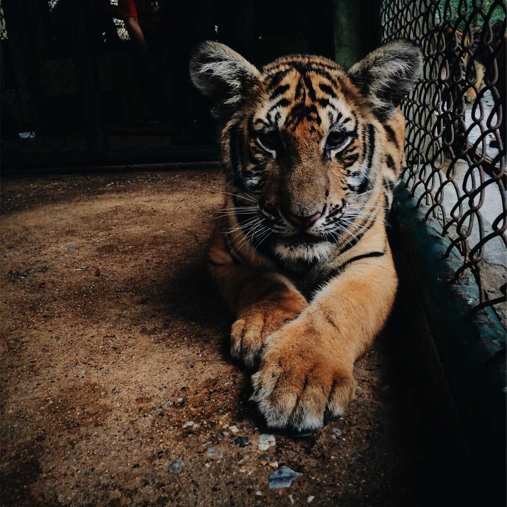 Running - professional stock photography