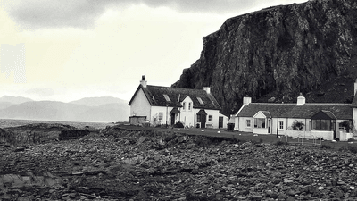 Salad - professional stock photography
