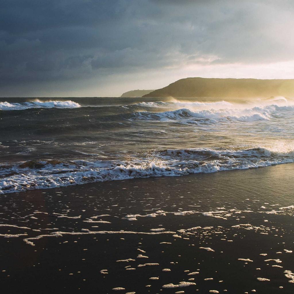 Salad - professional stock photography