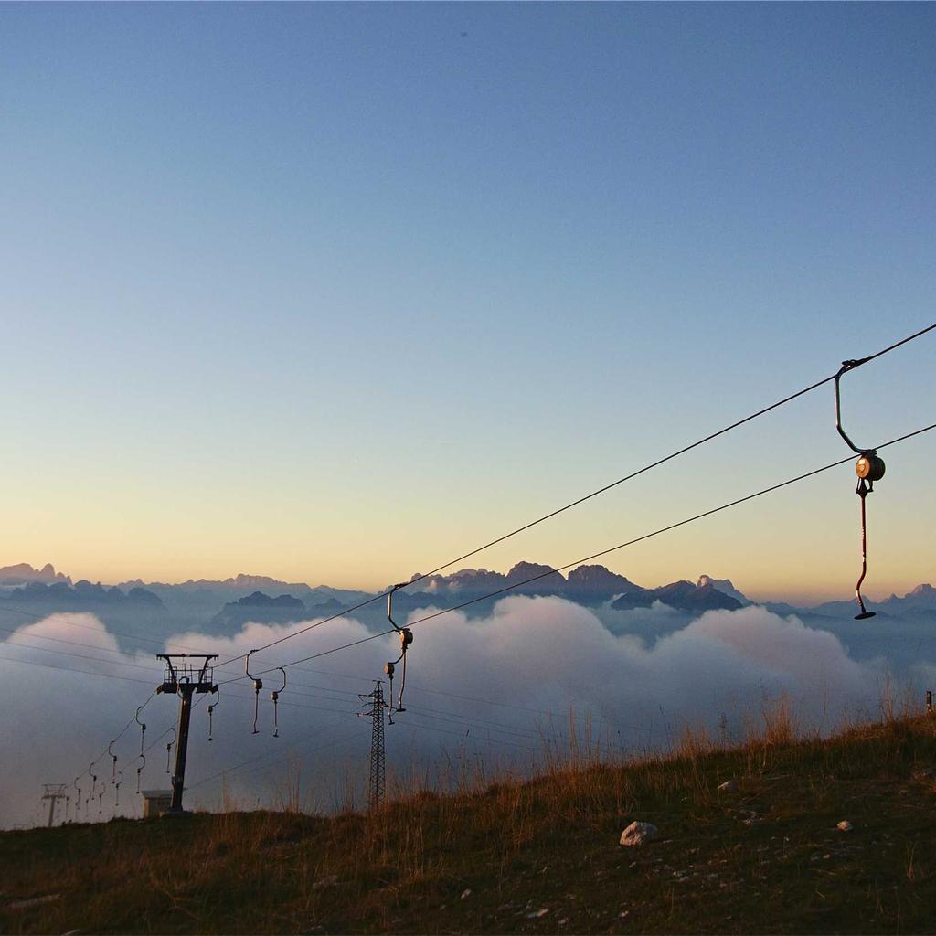 Salad - professional stock photography