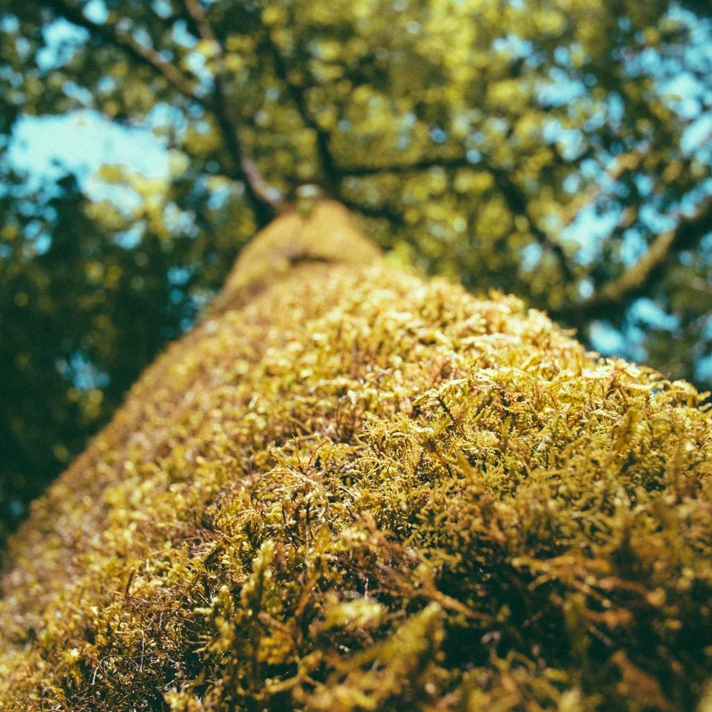 Salad - professional stock photography