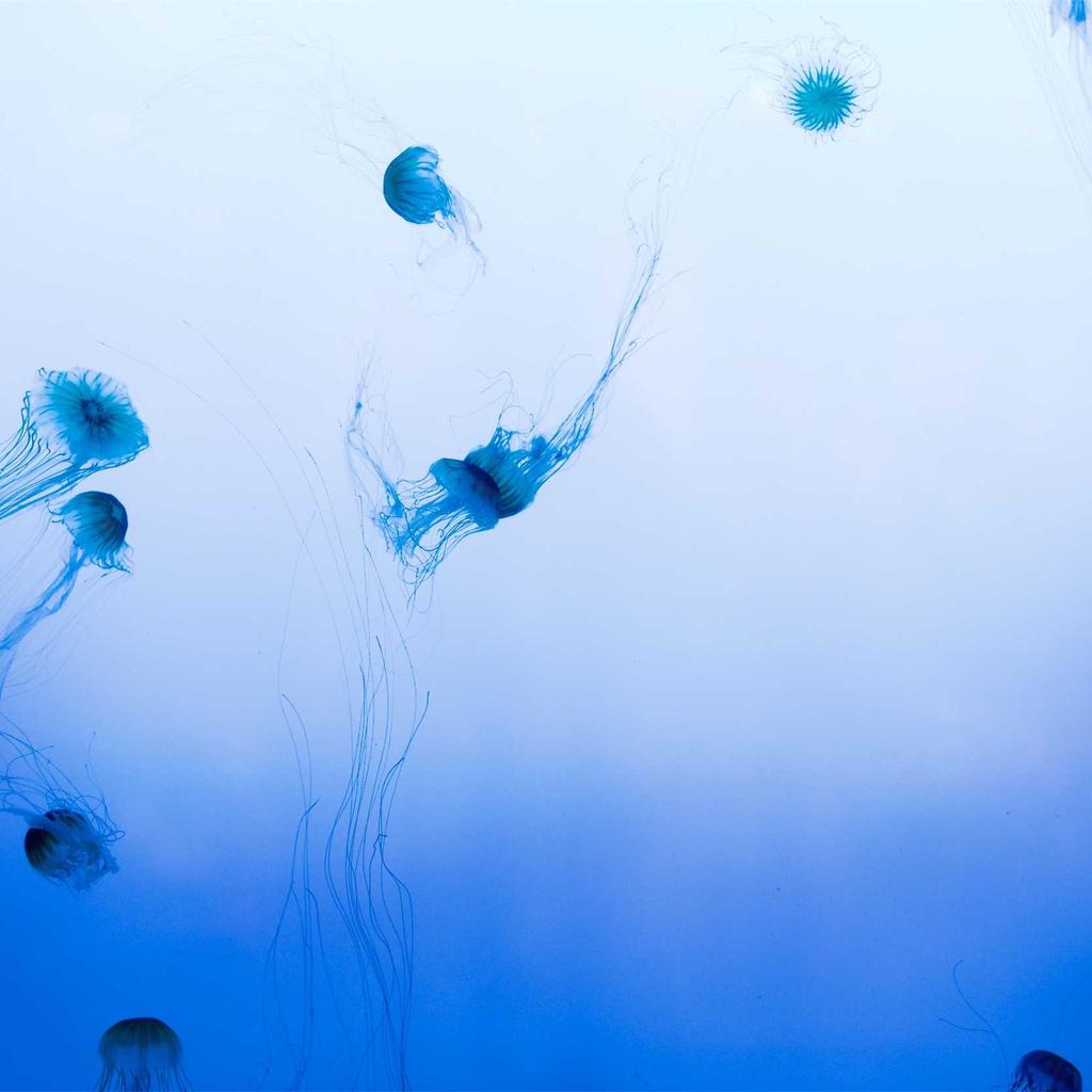 Sleep - professional stock photography