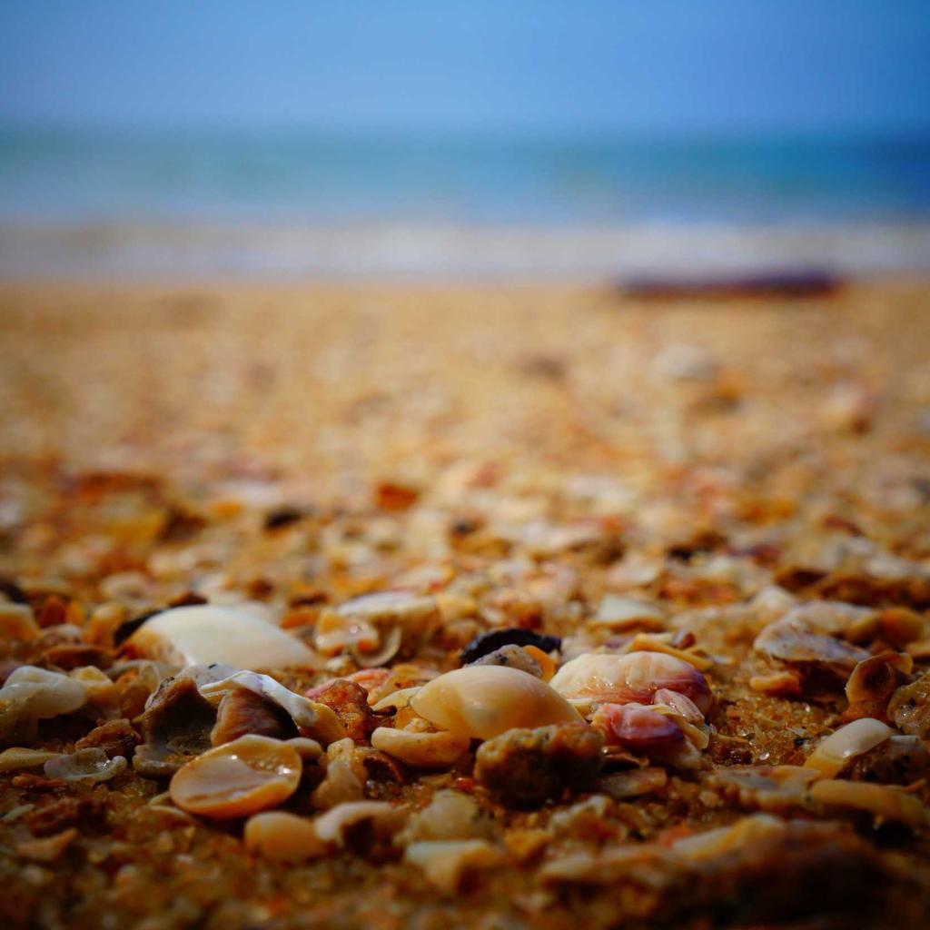 Smoothie - professional stock photography