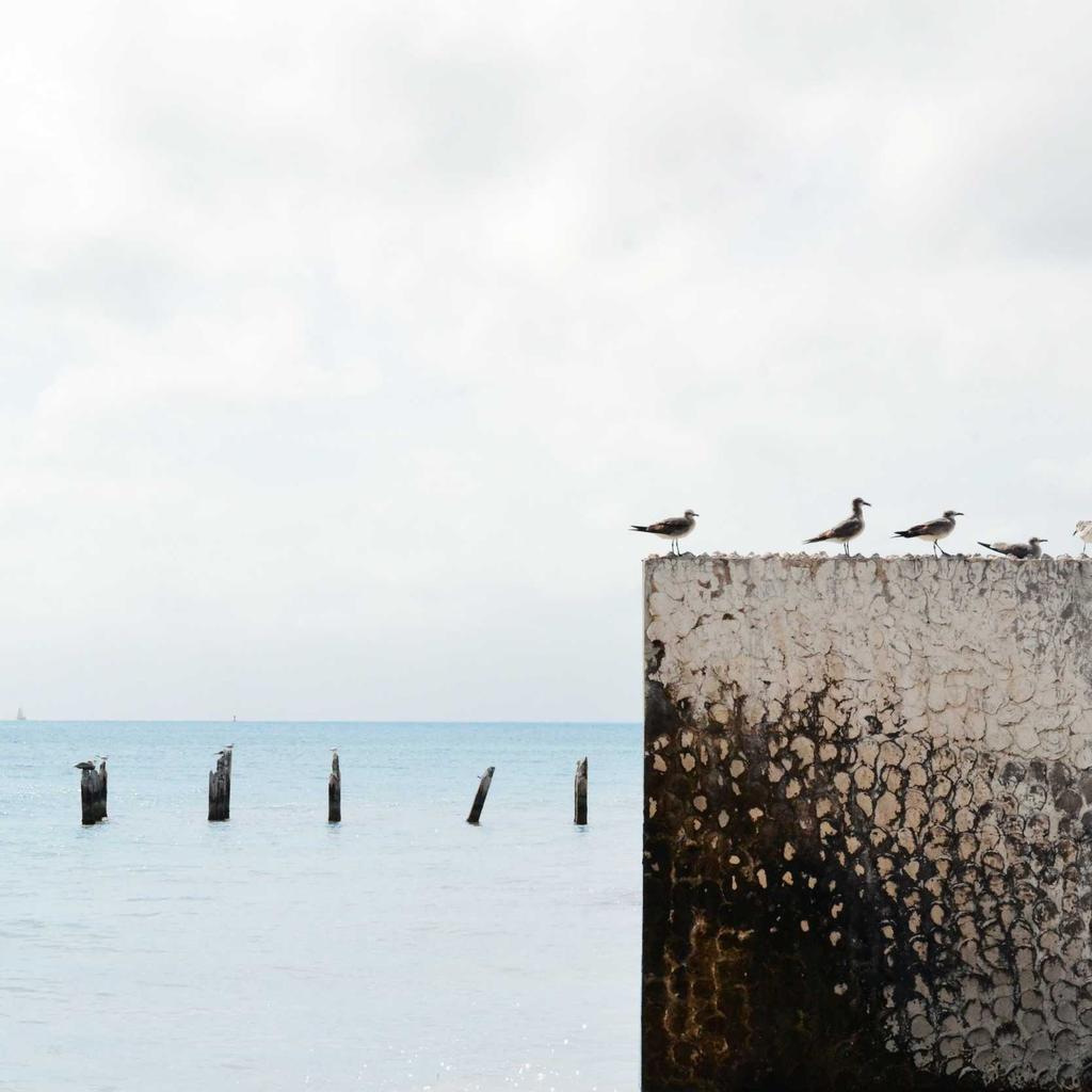Stretching - professional stock photography