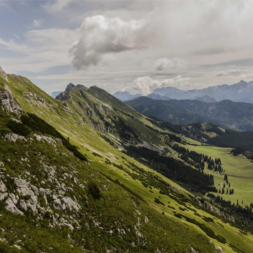 Therapy - professional stock photography