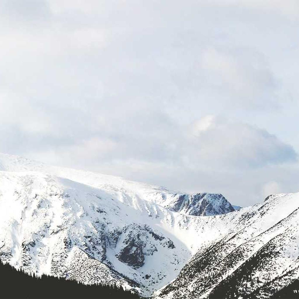 Vitamins - professional stock photography