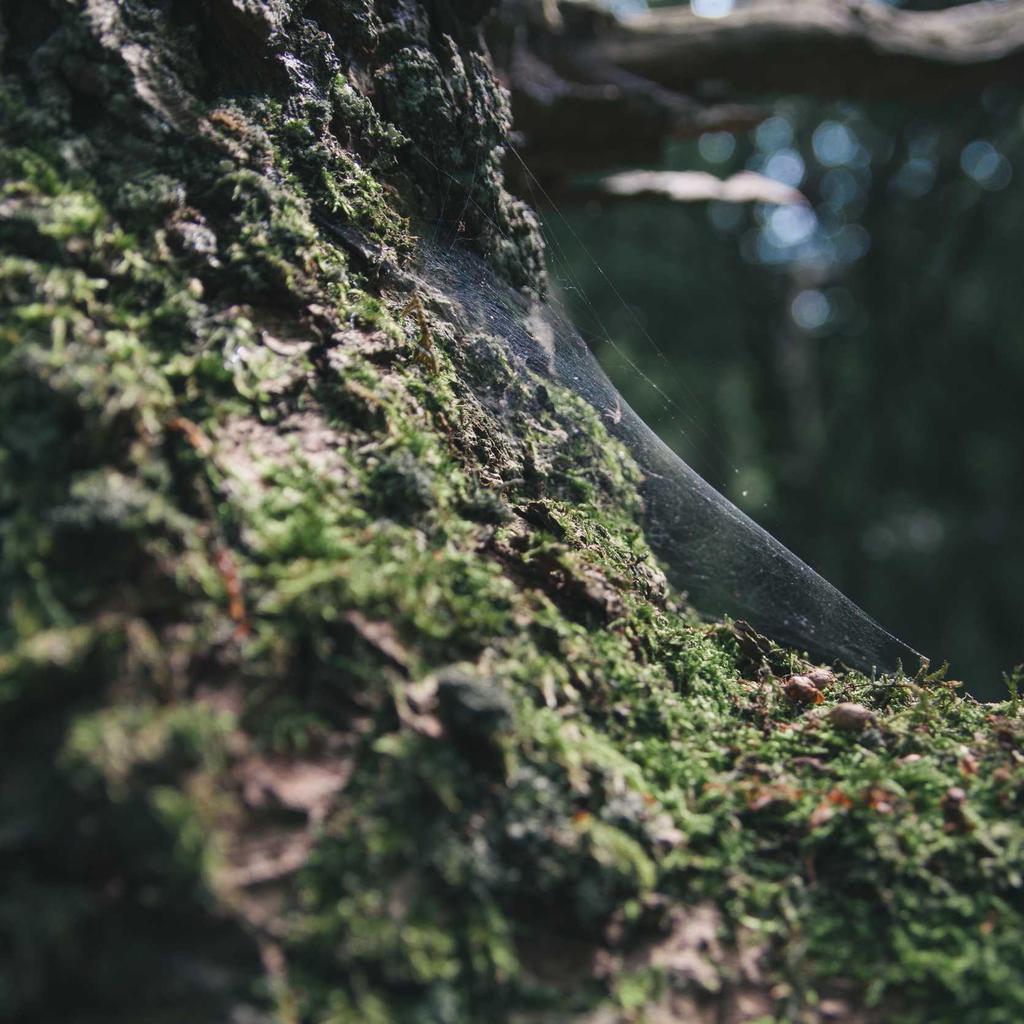 Wellness - professional stock photography