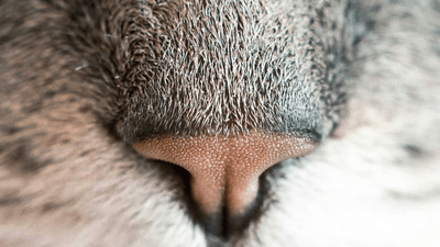 Yoga - professional stock photography