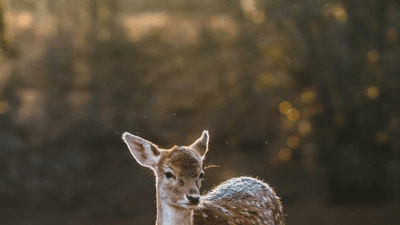 Yoga - professional stock photography